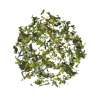Pu Erh Mint Toffee