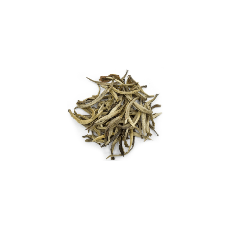 Silver Needle (Yunnan)