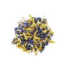 Butterfly pea, Flor azul
